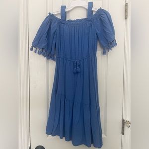 Asymmetrical length blue dress with embroidered embellishments
